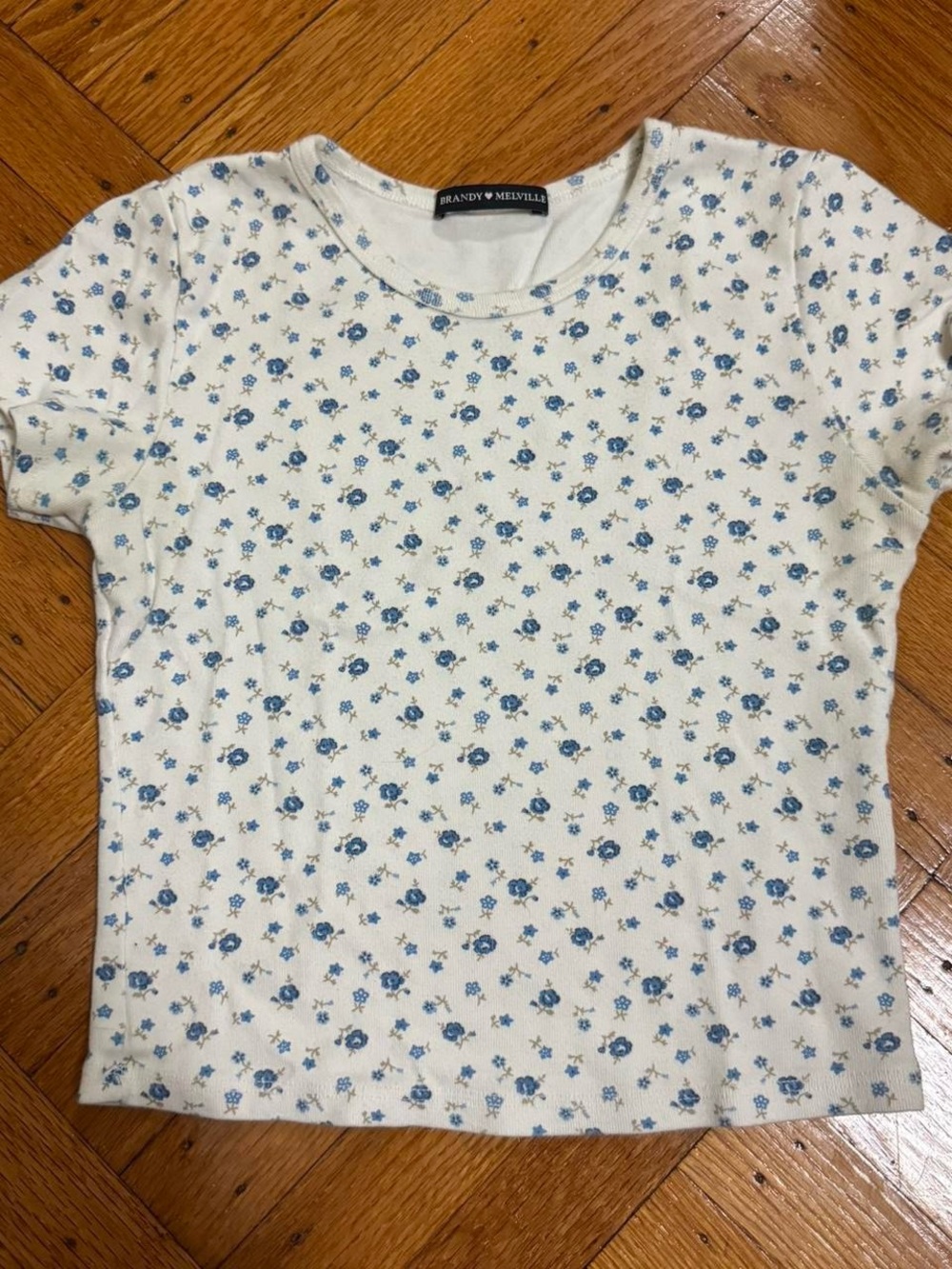super cutesy brandy melville slightly cropped white tee with blue flowers